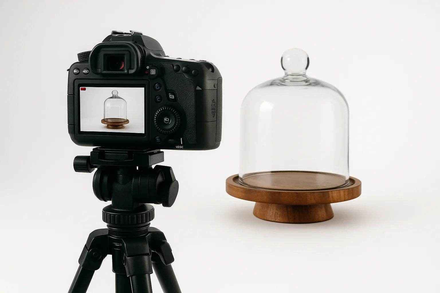 Fora da Caixa Alidolado - Alidolado